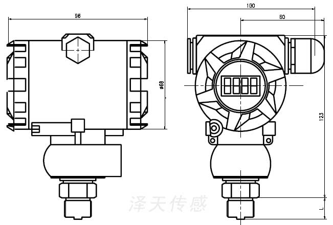 工業防爆壓力變送器2088外形尺寸CAD圖